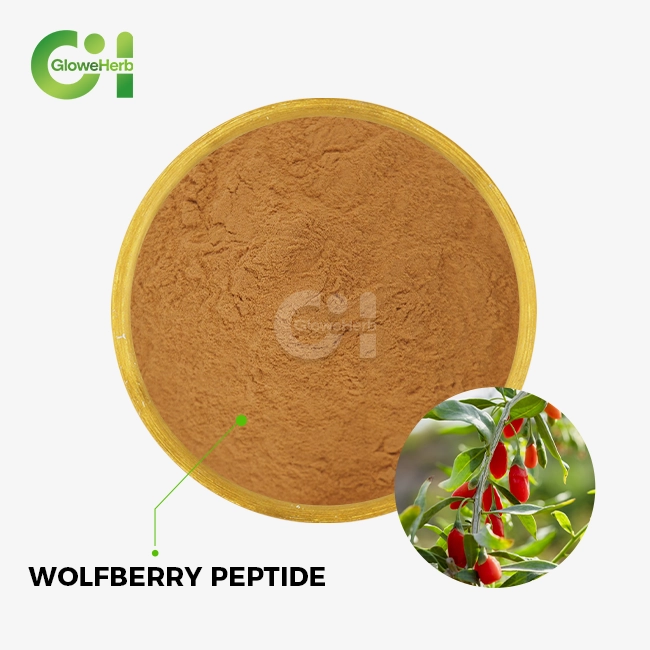 Wolfberry peptide